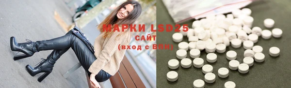 стафф Осташков