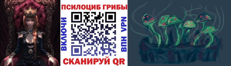 Псилоцибиновые грибы прущие грибы Пошехонье